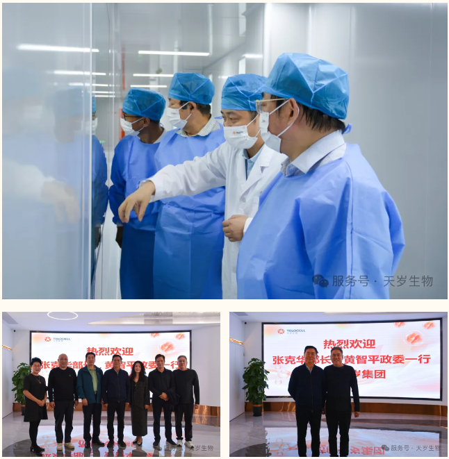 1740368654961512.png 1740368648437.png