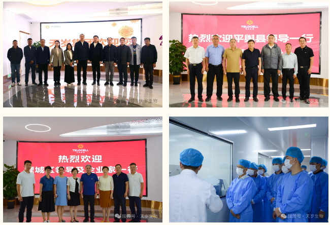 1740369585156173.png 1740369585162.png