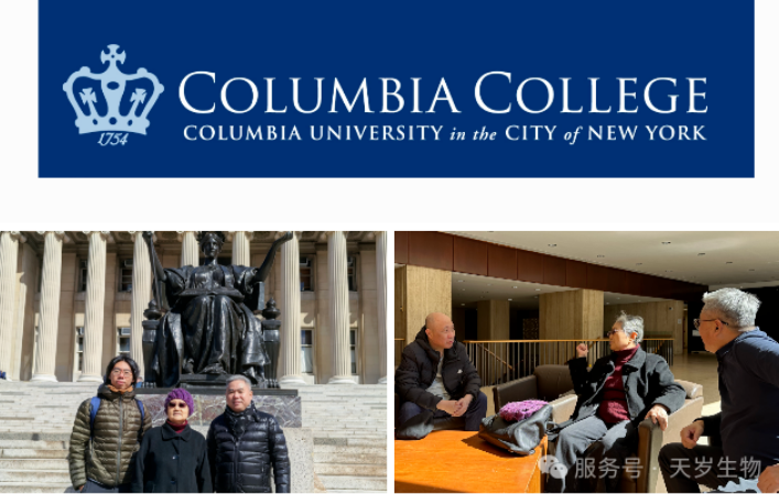 1744356515130826.png image.png