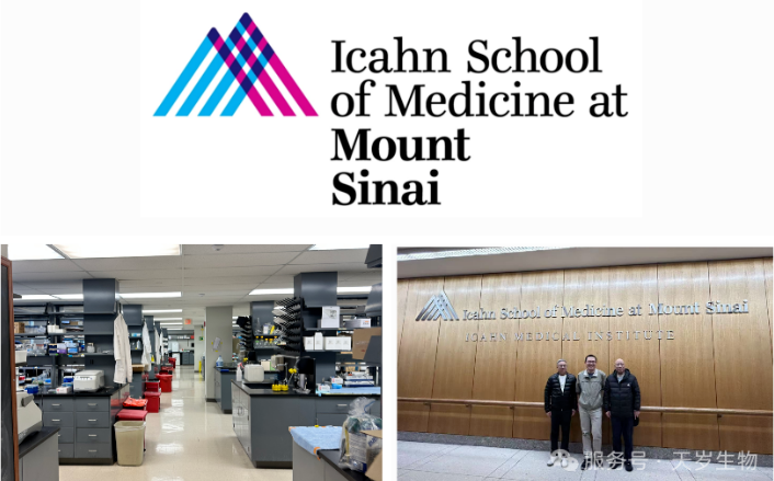 1744356548288616.png image.png