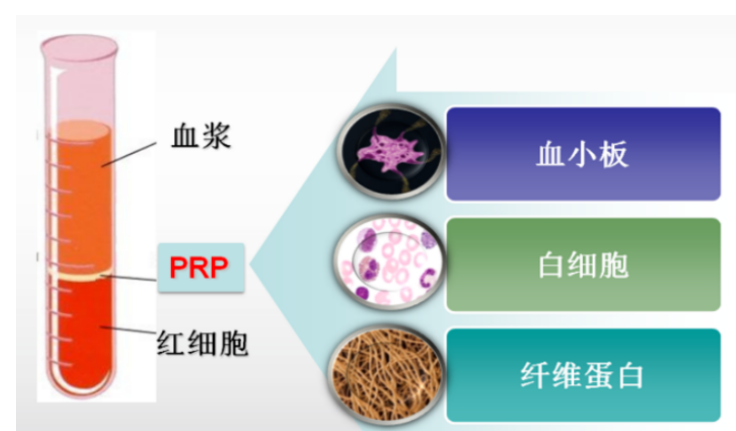 1748336854214416.png image.png